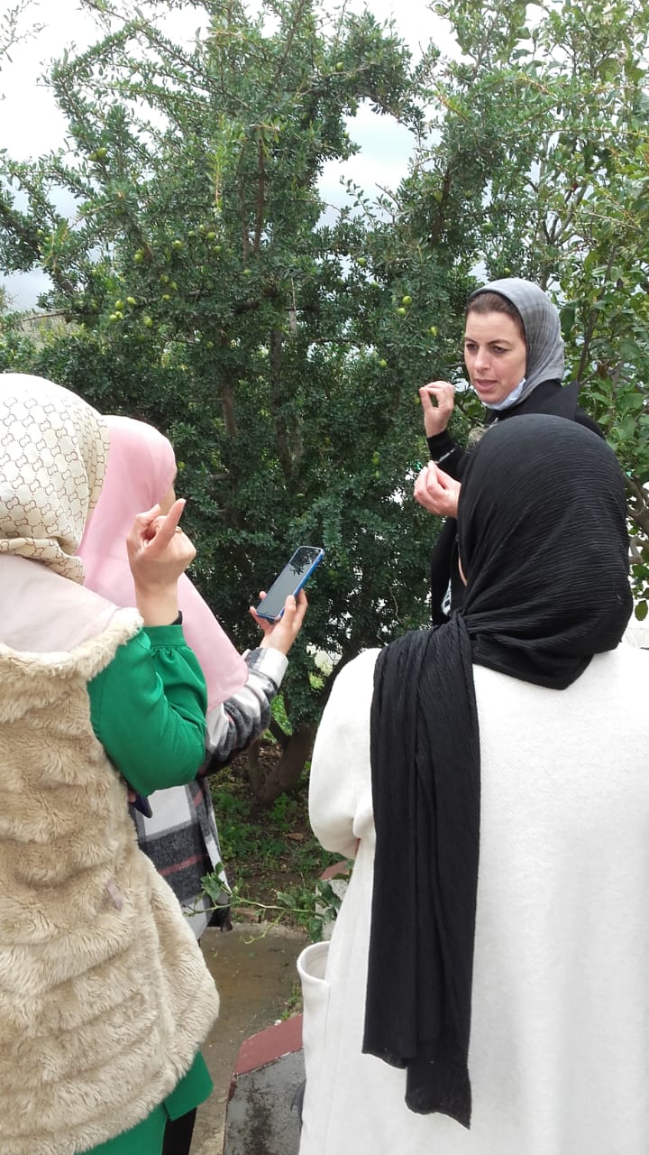 Building the Cooperative